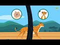 What Animals You Can't Outrun Even in 3 Minutes