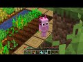 CUSTOM HEARTS Speedrunner VS Hunter in Minecraft!