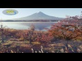 [ 4K Ultra HD ] 紅葉と富士山 Mt.Fuji in Autumn (Shot on RED EPIC)