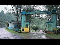 Rain in rural Indonesia||very beautiful and comfortable||sleep in 5 minutes