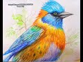 EASY WATER COLOR PAINTING/BIRD