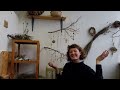 Studio Vlog | ✶ Shells, Cordage & Foraging ✶