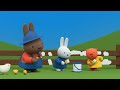 Miffy and the Giraffe | Miffy | New Series! | Miffy's Adventures Big & Small