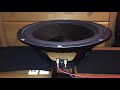 Paradigm 10 Inch Subwoofer Driver Test! (From model: PDR10 (1st version)).