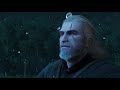 Witcher 3 - The Mysterious Wild Hunt EXPLAINED! - Witcher Lore & Mythology