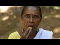 നാടൻ ചക്കയും നാടൻ കോഴിയും എന്റെ പോന്നോ ഒരു രക്ഷയില്ലാത്ത കോംബോ| Kerala Jackfruit With Chicken Curry