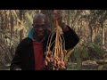 GlobeTrotter Jon Haggins TV in  Eden Palm  Date Museum in Tozeur, Tunisia