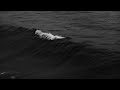♡ wiped out! - the neighbourhood [slowed + reverb] ♡