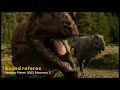 Carcharodontosaurus animations/ Path of Titans mods.