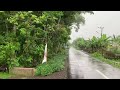 Heavy Rain in the Village | Really Beautiful and Refreshing | Fall Asleep In 5 Minutes