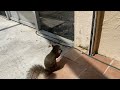 Squirrel takes food from my hands.