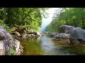 Fatigue Recovery Music - Relaxing Music with Water Sounds, Birds Singing