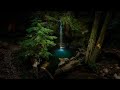 Inner Peace -Sleep Meditation -Jungle And Water Sounds #15
