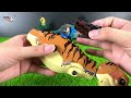 Lego Tyrannosaurus Rex Robot Attacks Human on The Helicopter In The Jungle Where The Dinosaurs Live