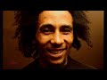 Positive Vibration - Bob Marley [ Lyrics ]