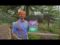 ¿Cuántos dinosaurios conoces? | Blippi Español | Videos educativos para niños | Aprende y Juega