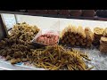 50/- Rs Punjabi Indian Street Food Nashta 😍 Baldev 5 Star Poori, Chole Bhature, Bollywood Hotdogs