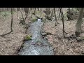 Mountain River Relaxing Sounds