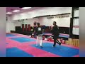 Taekwondo - Flying Side Kick - Slow Motion
