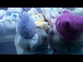 CLAW MACHINE FAILS!!! I Spending a  lot of cash at the Arcade (and not winning a single prize lol)