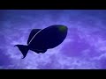 One Of Natures Wonders Of The World | The Red Sea | Nature Documentary | Documentary Central