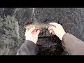 Grayling fishing with Graham on the Welsh Dee at Llandderfel