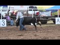 Youth Team Doctoring - 2023 Motley / Dickens Old Settlers Rodeo