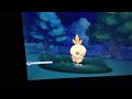 {?Reclaim?} Pokemon Omega Ruby Shiny Torchic!!! After only 81 SR's (BQ#1)