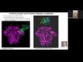 AlphaFold 3 Accuracy on Antibody Binding and Protein Interactions