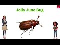 50 Insects & Bugs names In English With Pictures |Kids Vocabulary| #kidslearning #insectsvocabulary