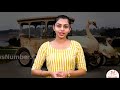 The Royal Swan Car of Maharaja of Nabha || Ankurdeep Kaur || NewsNumber.Com