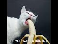 Banana man #funnyvideo