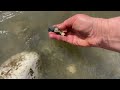 So Many Favourite Finds! A Perfect Mudlarking Outing on the River Thames in My Old Favourite Spot!