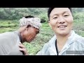 Day out to native village for Transplanting  crops at paddy field (village life) Vlogs