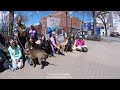 Halifax Bully Breeds march against BSL