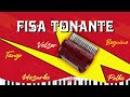 Fisa Tonante | Ballo Fisarmonica Tradizionale | Mix Brani Liscio Folk 2024 |Paso Doble, Tango, Polka