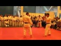 Self Defense demonstration - Hyper Japan 2013
