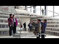 The Great Libraries of China - Part 5 | Tianjin Binhai Library | Design Asia EP23