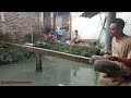 Mancing lele borongan harga ekonomis(untung/rugi)