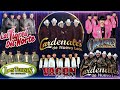 Cardenales De Nuevo Leon,Los Tucanes De Tijuana / Los Originales De San Juan, Lalo Mora...