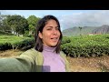 Luxury Stay in Munnar | Best place to stay in Munnar | Tea Plantation #keralawithjagriti