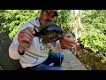 Houseboat Fun - Catching LOADS of Fish from the Porch!