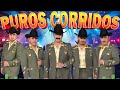 Corridos A Quema Ropa - Los Tucanes De Tijuana 40 Exitos - Puros Corridos Pesados Mix 2024