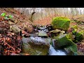 Beautiful Relaxation Scenery, Water Sounds, Water falls. Meditation. Nature sounds.