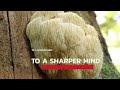 S3E133 - Elevate Your Mind: Lion's Mane Mushroom and Its Impact on Memory and Learning