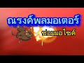 แกนแผงคอ คด ดัดยังไงให้ตรงเหมือนเดิม