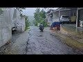 Heavy Rain in a Beautiful Village in Indonesia || Fall Asleep In 5 Minutes With The Sound Of Rain