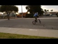 BMX film project (whip it)