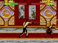 Mortal Kombat II Unlimited [Genesis] - play as Ermac