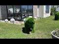 Faux Topiary - Bears and Horses